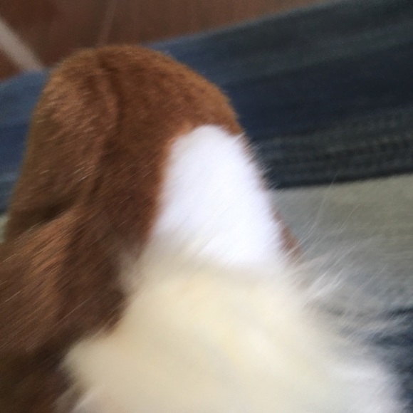 Douglas plush horse New! - Picture 9 of 14